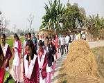 mdrkrishak.org.in