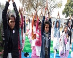 mdrkrishak.org.in